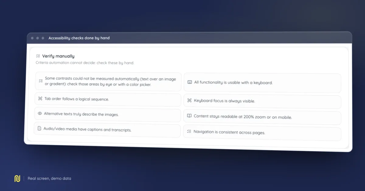 Screenshot of the Accessibility checks done by hand screen in NessFlow, on a demo dataset.