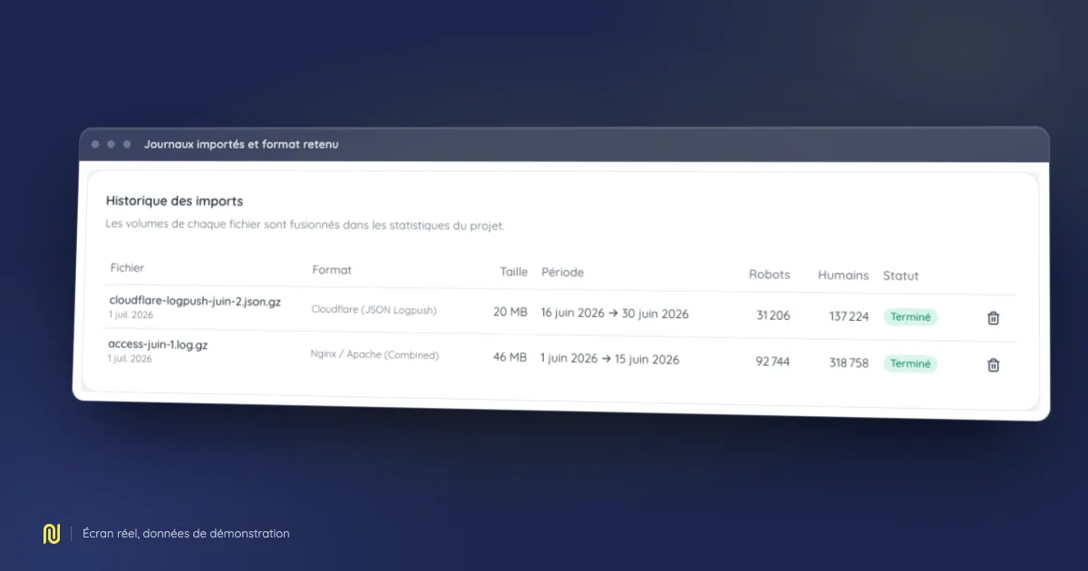 Capture de l’écran Journaux importés et format retenu de NessFlow, sur un jeu de démonstration.